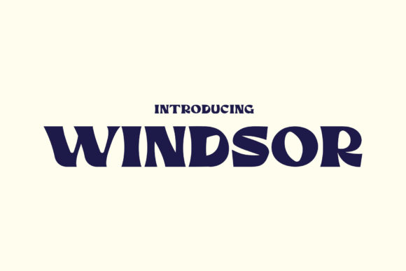 Windsor Font for Eye-Catching Branding and Business Materials